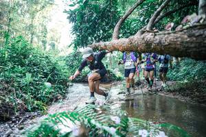 BIB: 
                            <button type="button" onclick="openModal(25444288)" class="btn btn-primary btn-sm float-right btn-popup" data-toggle="modal" data-target=".modal-high-quality">
                        <i class="fas fa-shopping-cart"></i> Add to Cart
                    </button>
                                            <button type="button" onclick="isThisMe(25444288, true)" class="btn btn-success btn-sm float-right btn-popup btn-isme hidden" data-toggle="tooltip" data-placement="bottom" title="นี่คือรูปของคุณใช่ไหม คลิกที่นี่เพื่อเอาเข้าอัลบั้ม">
                        <i class="fas fa-plus"></i> Add to album
                    </button>
                    <button type="button" onclick="isThisMe(25444288, false)" class="btn btn-warning btn-sm float-right btn-popup btn-isnotme hidden">
                        <i class="fas fa-ban"></i> Remove from album
                    </button>